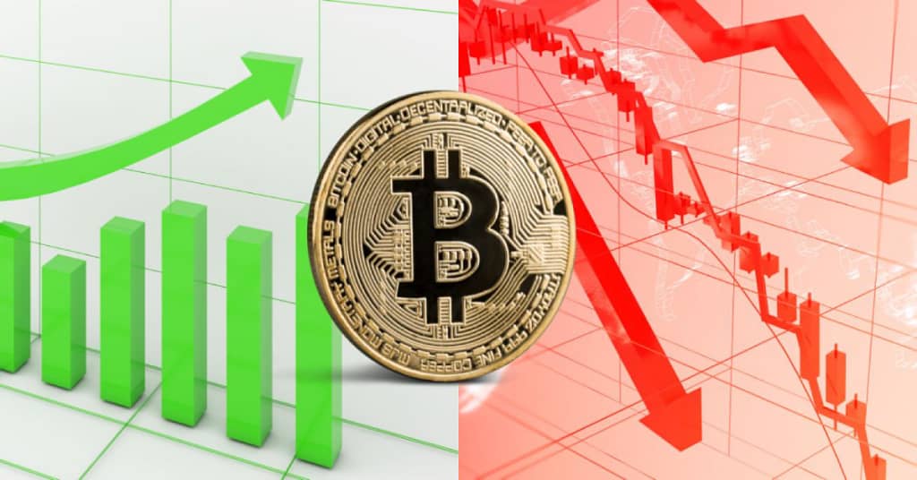 bitcoin connection with fear and greed index