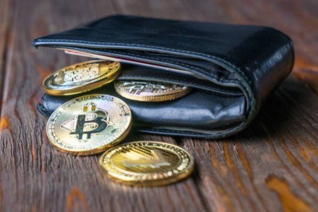 Bitcoin Wallet and Exchange – Basic Terms Every Cryptocurrency Investor Should Know Details About