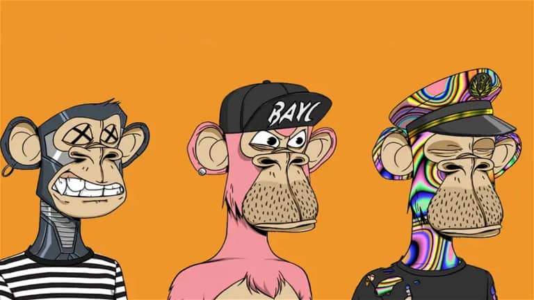 Bored Ape Yachting Club collection